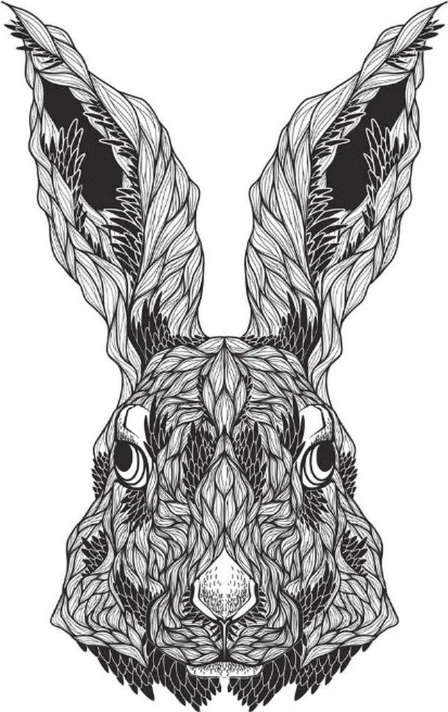 Mindful kleuren voor volwassenen