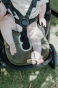 Air layer buggy