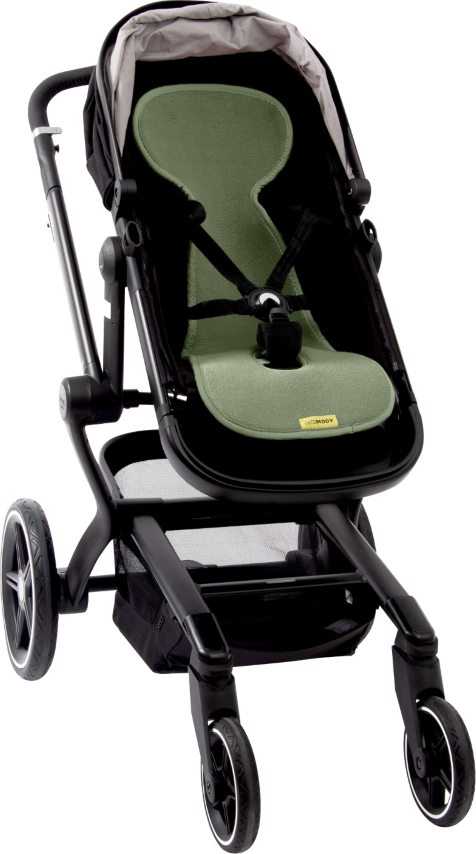 Air layer buggy