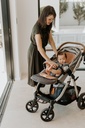Air layer buggy