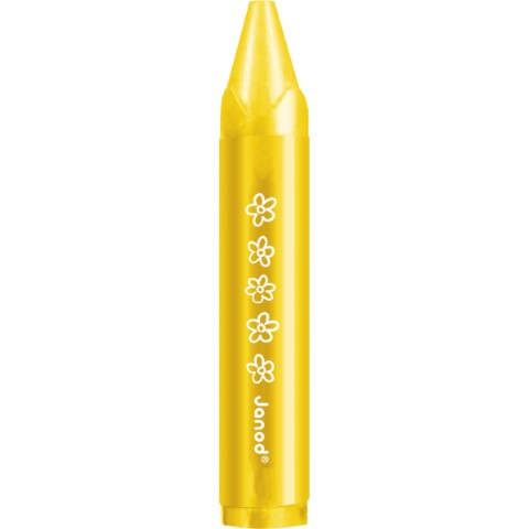 Wax pencils x12
