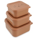 Snack box nesting - 3pcs