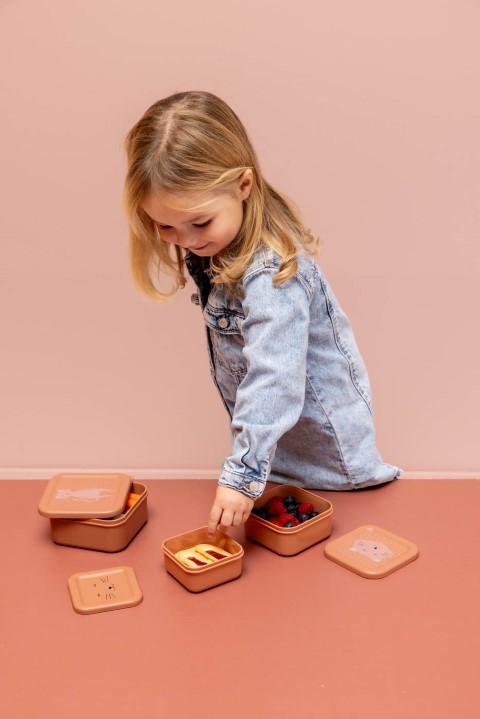 Snack box nesting - 3pcs