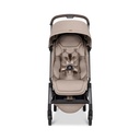 Buggy Aer2