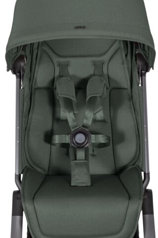 Buggy Aer2