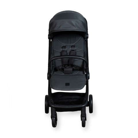 Buggy Easyfold