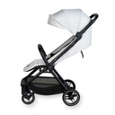 Buggy Easyfold