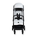 Buggy Easyfold