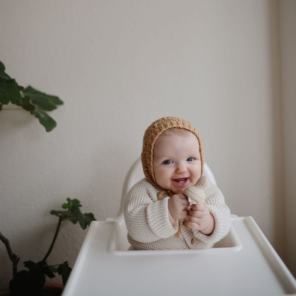 Fresh food feeder - siliconen baby fruitspeen