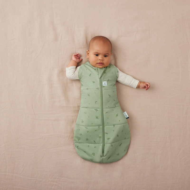 Cocoon inbaker slaapzak tog 2,5 0-3 months