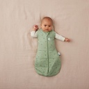 Cocoon inbaker slaapzak tog 2,5 0-3 months