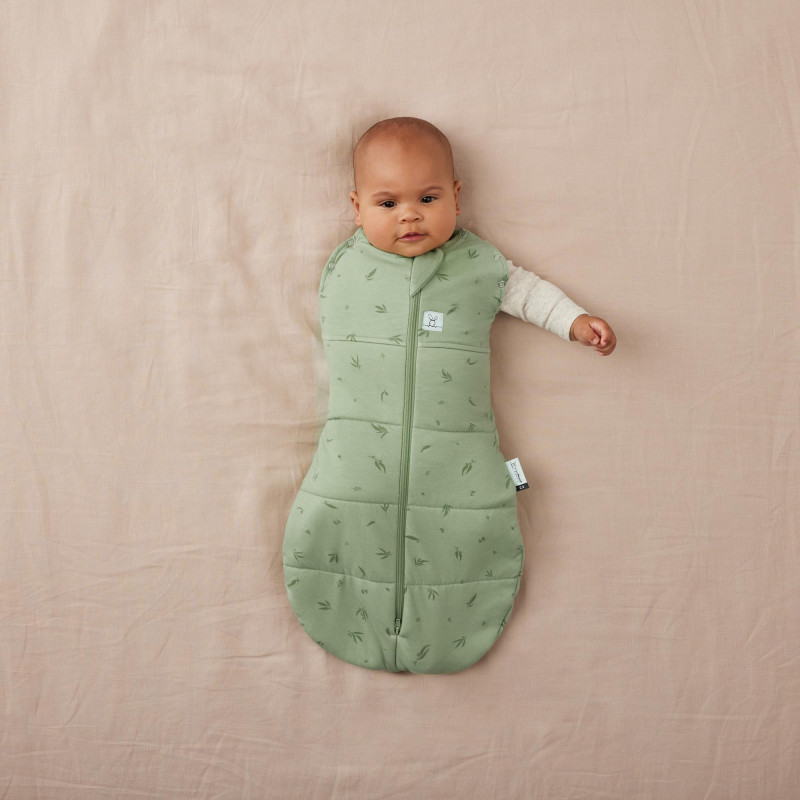 Cocoon inbaker slaapzak tog 2,5 0-3 months