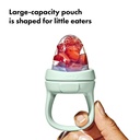 Teething Feeder - baby fruitspeen