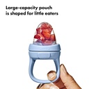 Teething Feeder - baby fruitspeen