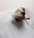 Hoeslaken bed (kopie)