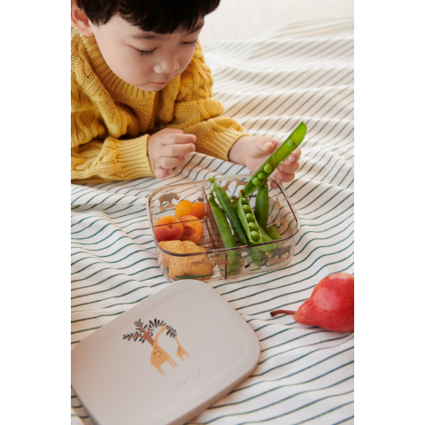 Lunchbox in tritan Arthur