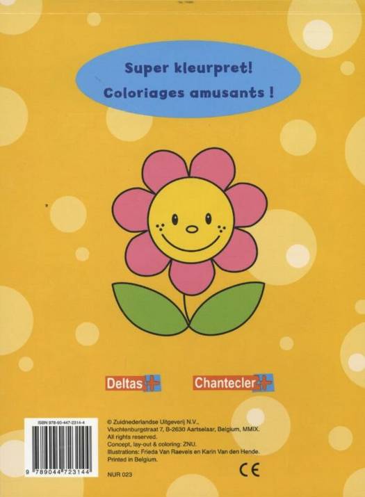 Crazy color (3-4 j)