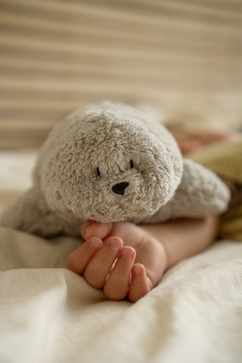 Knuffel zeehond The humming seal 2.0 met licht en geluid