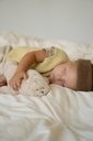 Knuffel zeehond The humming seal 2.0 met licht en geluid