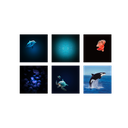 Beeldprojector Kidystar