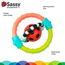 Spin & chew flexible ring rattle