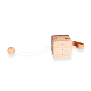 Educatief speelgoed - Muziekdoos