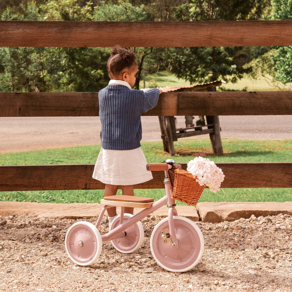 Driewieler trike