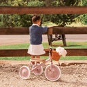 Driewieler trike