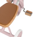 Driewieler trike