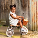 Driewieler trike