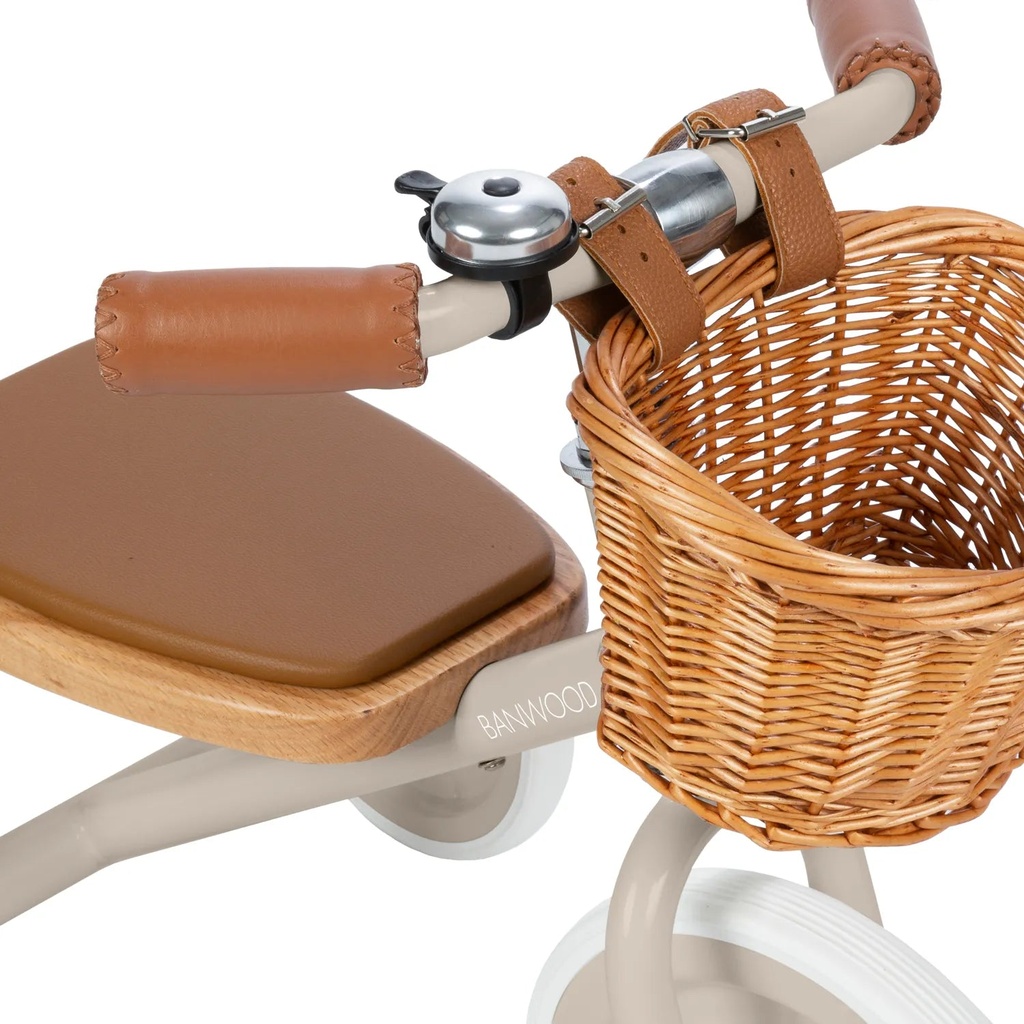 Driewieler trike