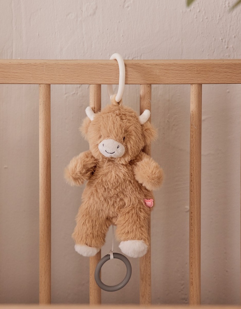 Muziekdoos nomade koe