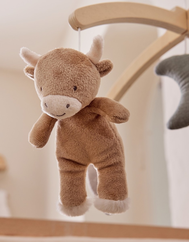 Muziekmobiel met houten arm