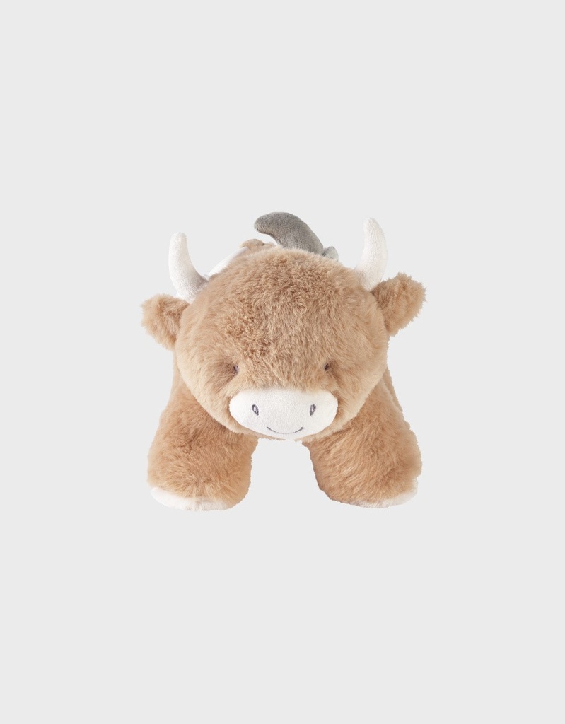 Activiteitenknuffel