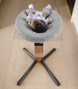 Newborn set grey sand