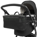 *Organizer (canvas)
