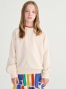 Sweatshirt raglanmouw knit by hand