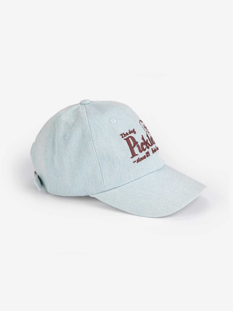 Pet denim woven pickles de hond