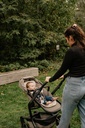Air layer buggy