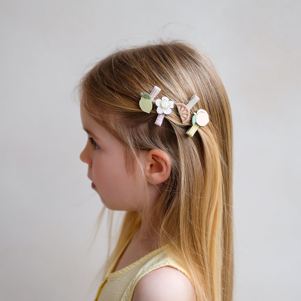 Haarclip klein (5 stuks)