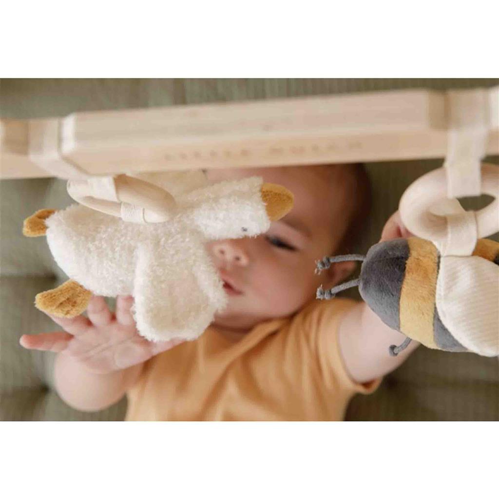 *Babygym little goose