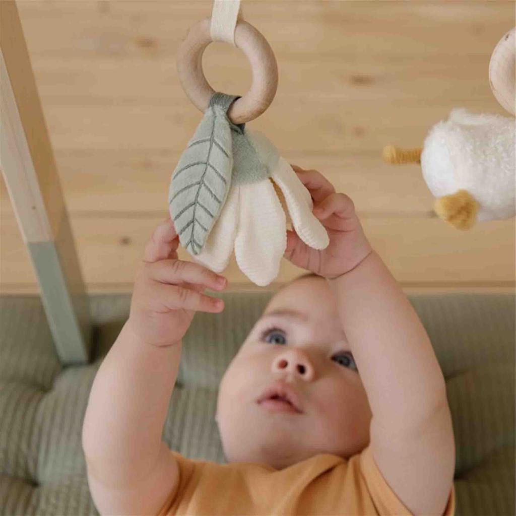 *Babygym little goose