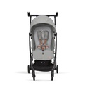 *Buggy libelle