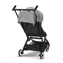 *Buggy libelle