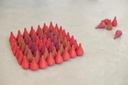 Mandala Vuur