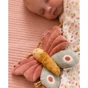 *Activiteitenvlinder flowers&butterfly Little Dutc