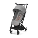 *Buggy libelle