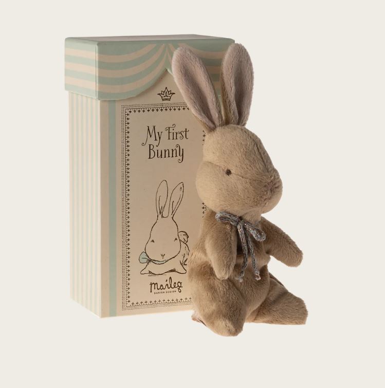 Mon premier lapin