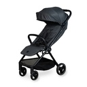 Buggy Easyfold