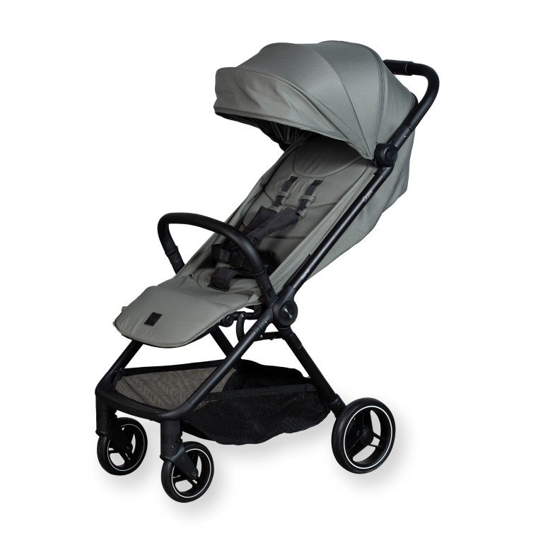 Buggy Easyfold